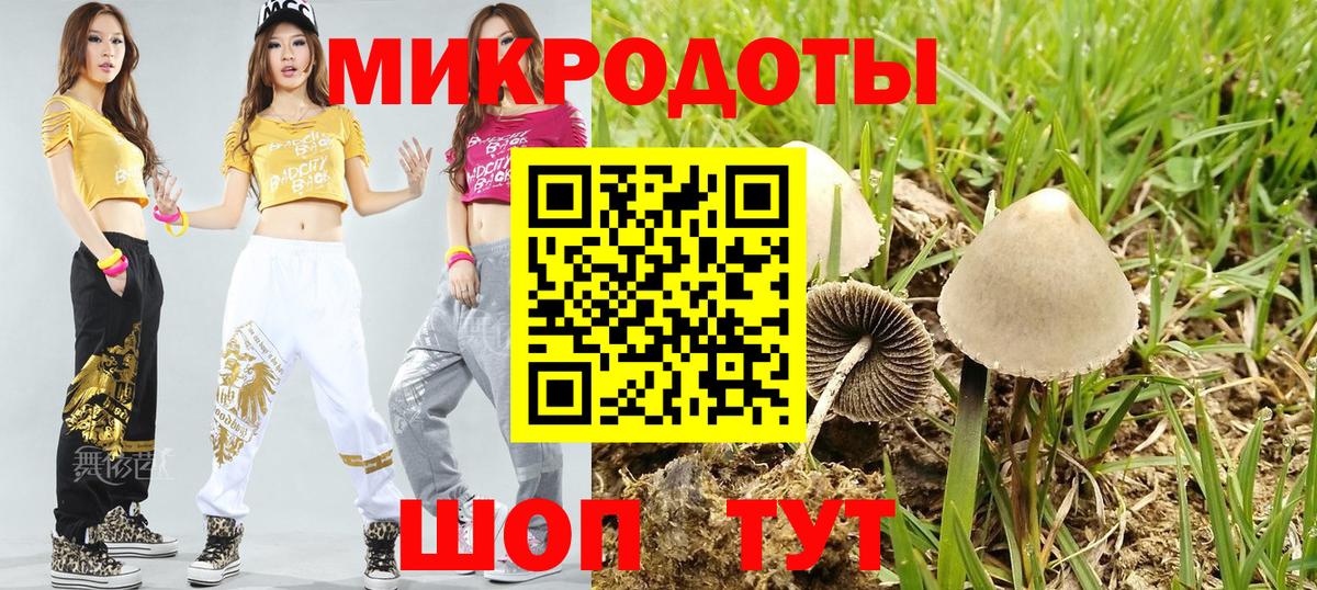 Псилоцибиновые грибы мухоморы Черкесск