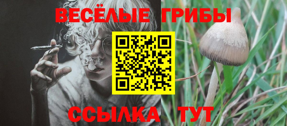 Псилоцибиновые грибы Psilocybine cubensis  Псилоцибиновые грибы MAGIC MUSHROOMS  Черкесск  Вход с VPN 